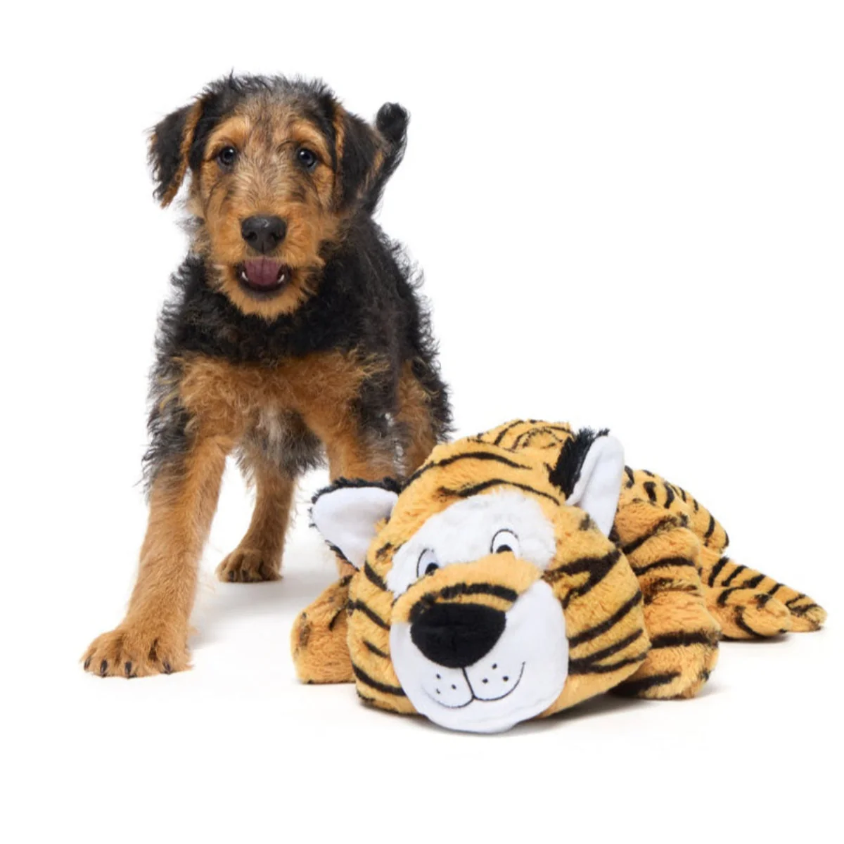 Benji the Bouncing Tiger Plush Extra-Large + Tug Dog Toy - Image 4