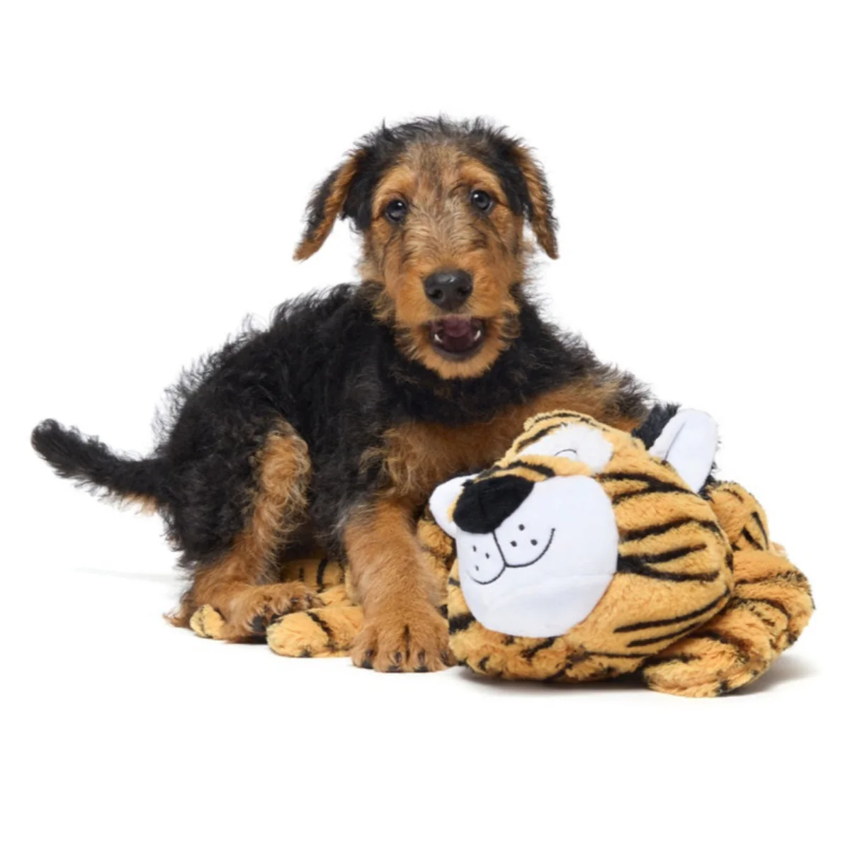 Benji the Bouncing Tiger Plush Extra-Large + Tug Dog Toy - Image 5