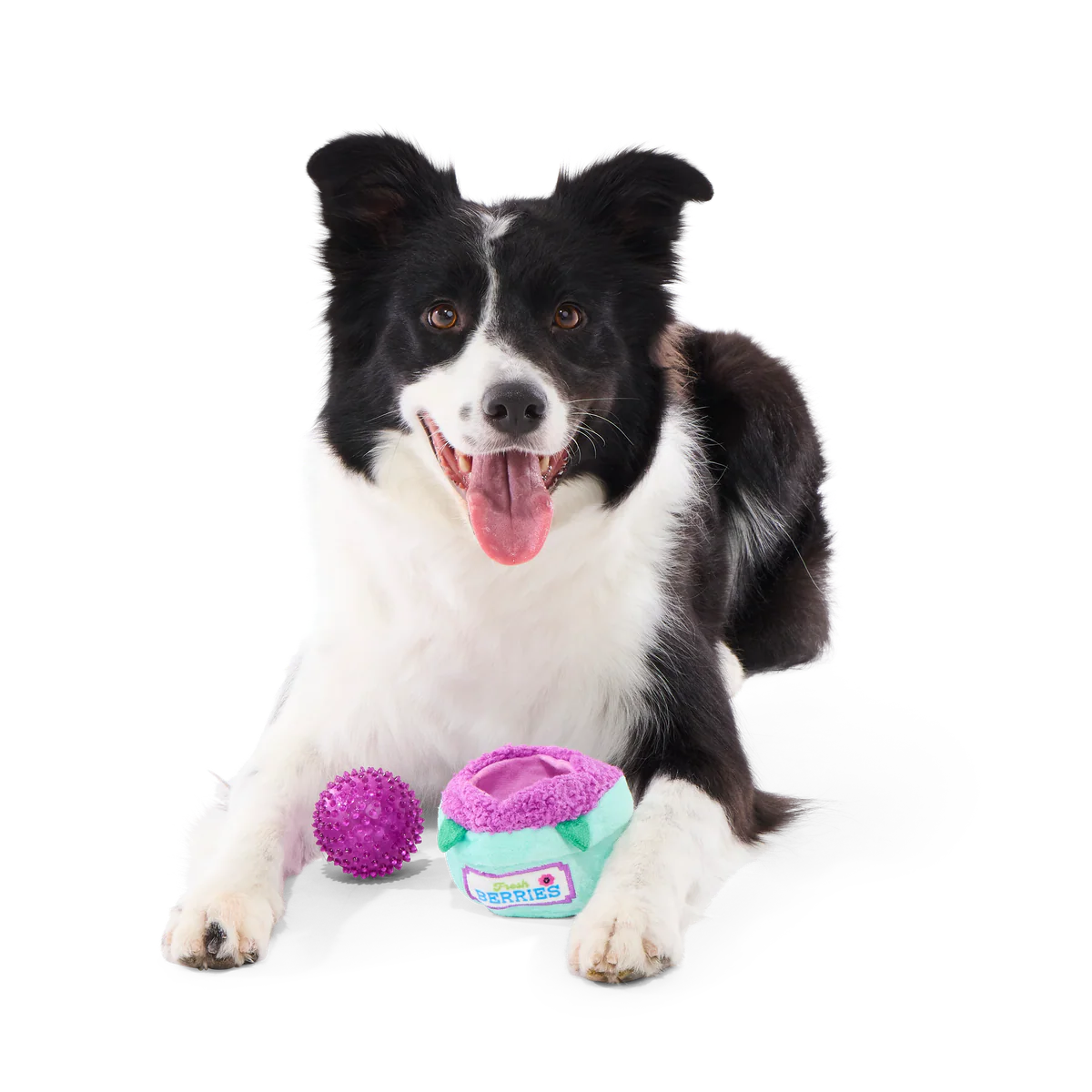 Blueberry Thrill Plush Multi-Part + Fetch + Enrichment Dog Toy - Image 2
