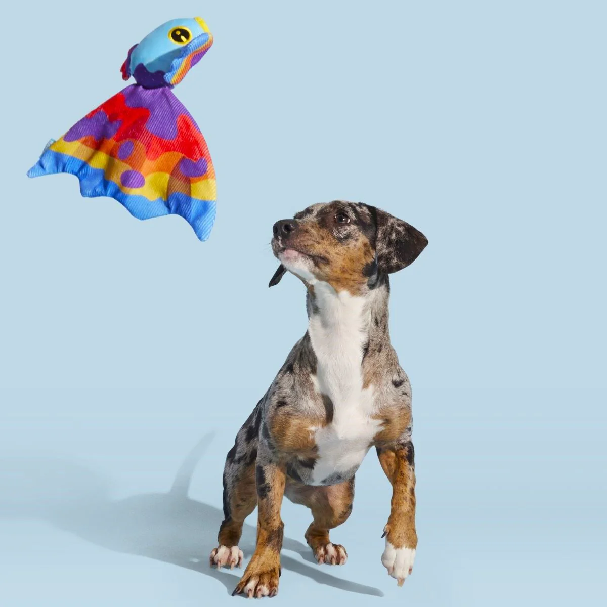 Beta Boop Plush Tug Dog Toy - Image 2