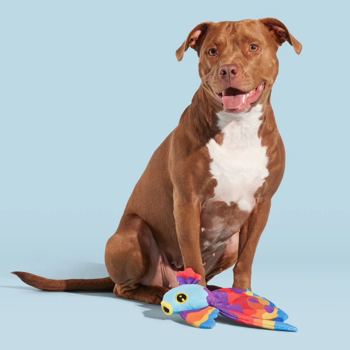 Beta Boop Plush Tug Dog Toy - Image 3