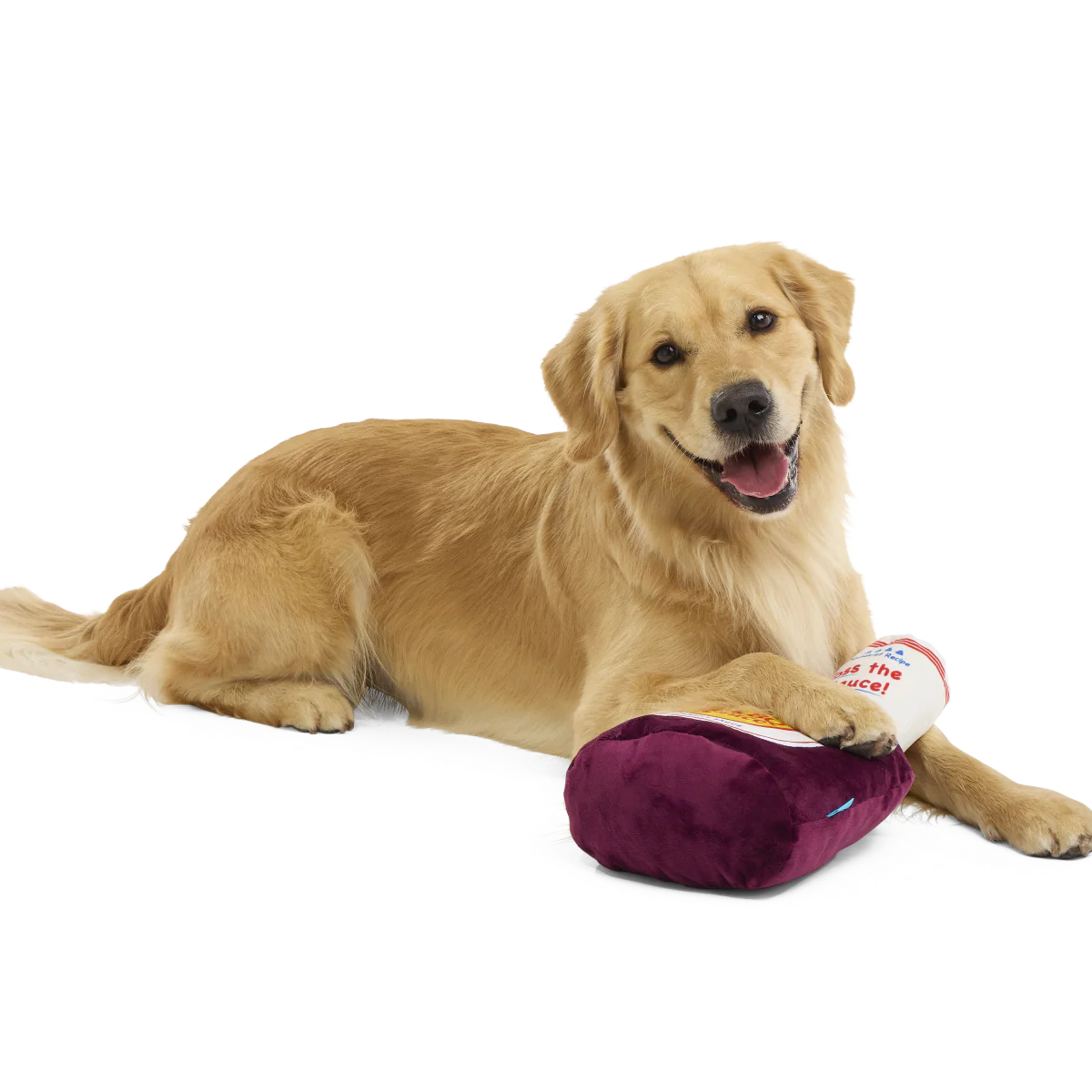 Big Dog BarkBQ Sauce Plush Extra-Large Dog Toy - Image 4