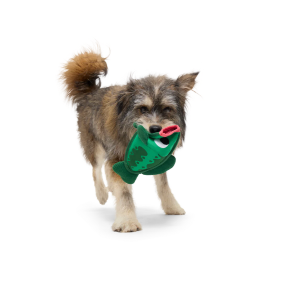 Big Squeak Bass Plush Tug + Enrichment Dog Toy - Image 2