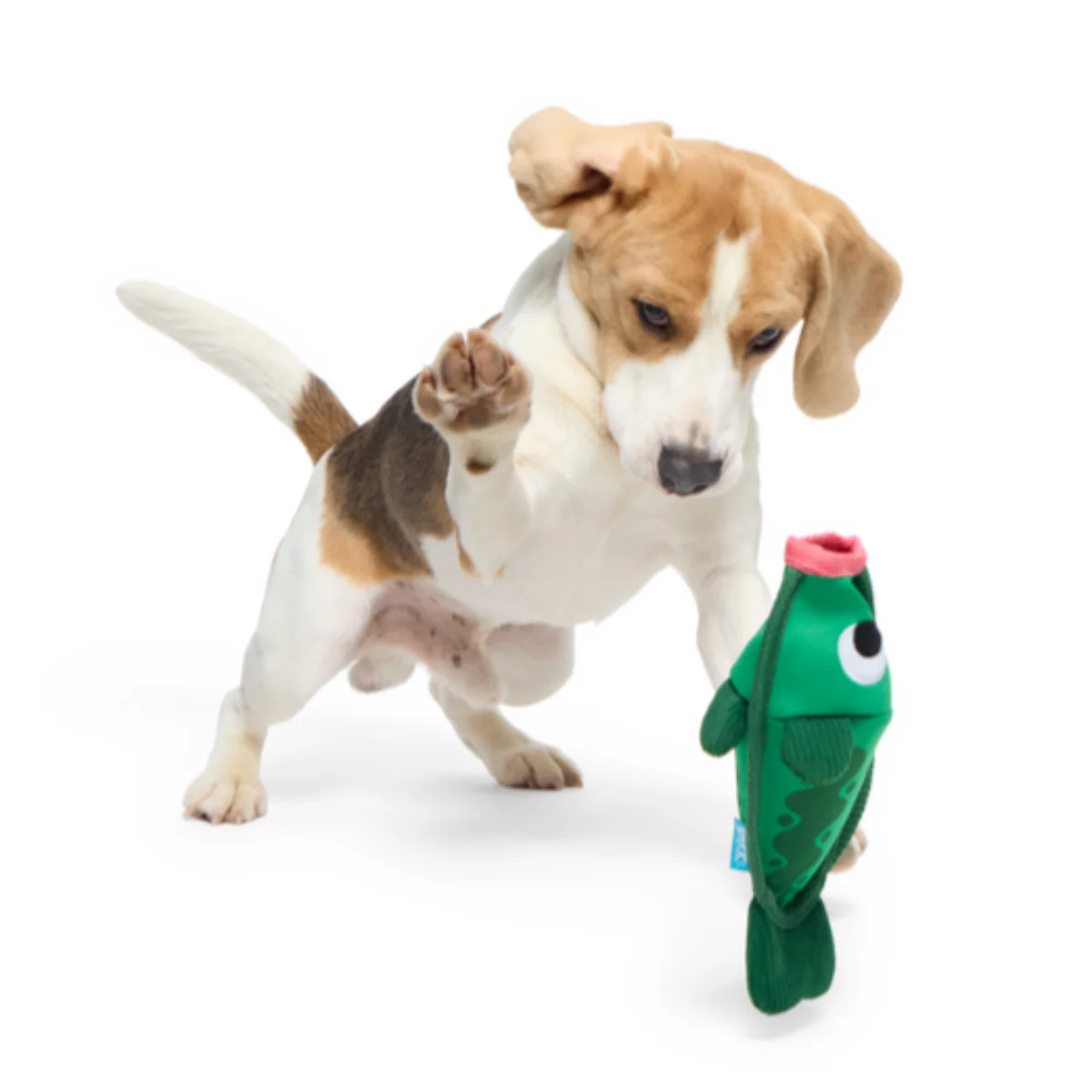 Big Squeak Bass Plush Tug + Enrichment Dog Toy - Image 3