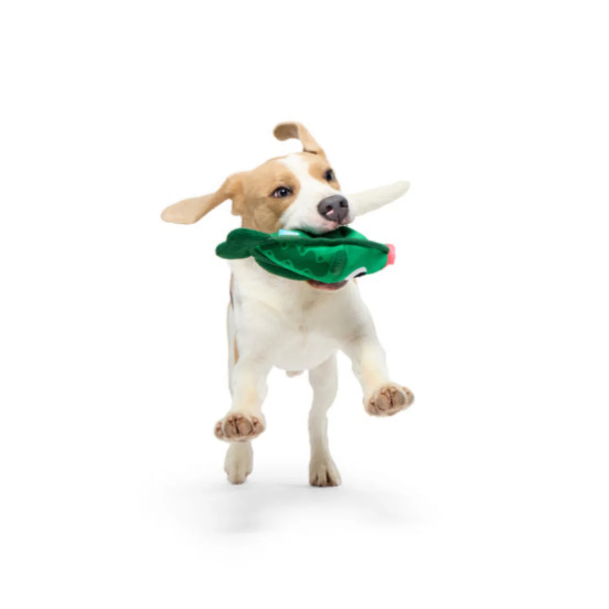 Big Squeak Bass Plush Tug + Enrichment Dog Toy - Image 4