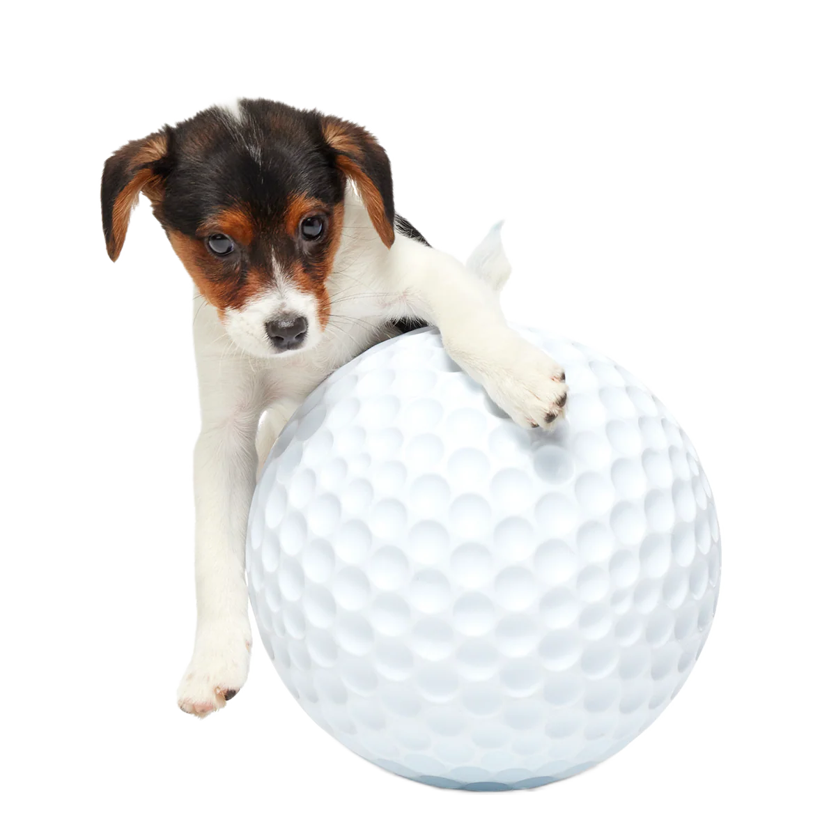 Big Swing Golf Ball Super Chewer Durable Extra-Large Fetch Dog Toy - Image 3