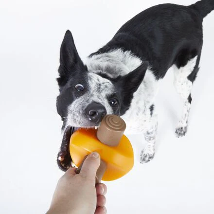 Blanket + Chompfire Bundle Durable Super Chewer Gnaw + Enrichment Dog Toy - Image 8