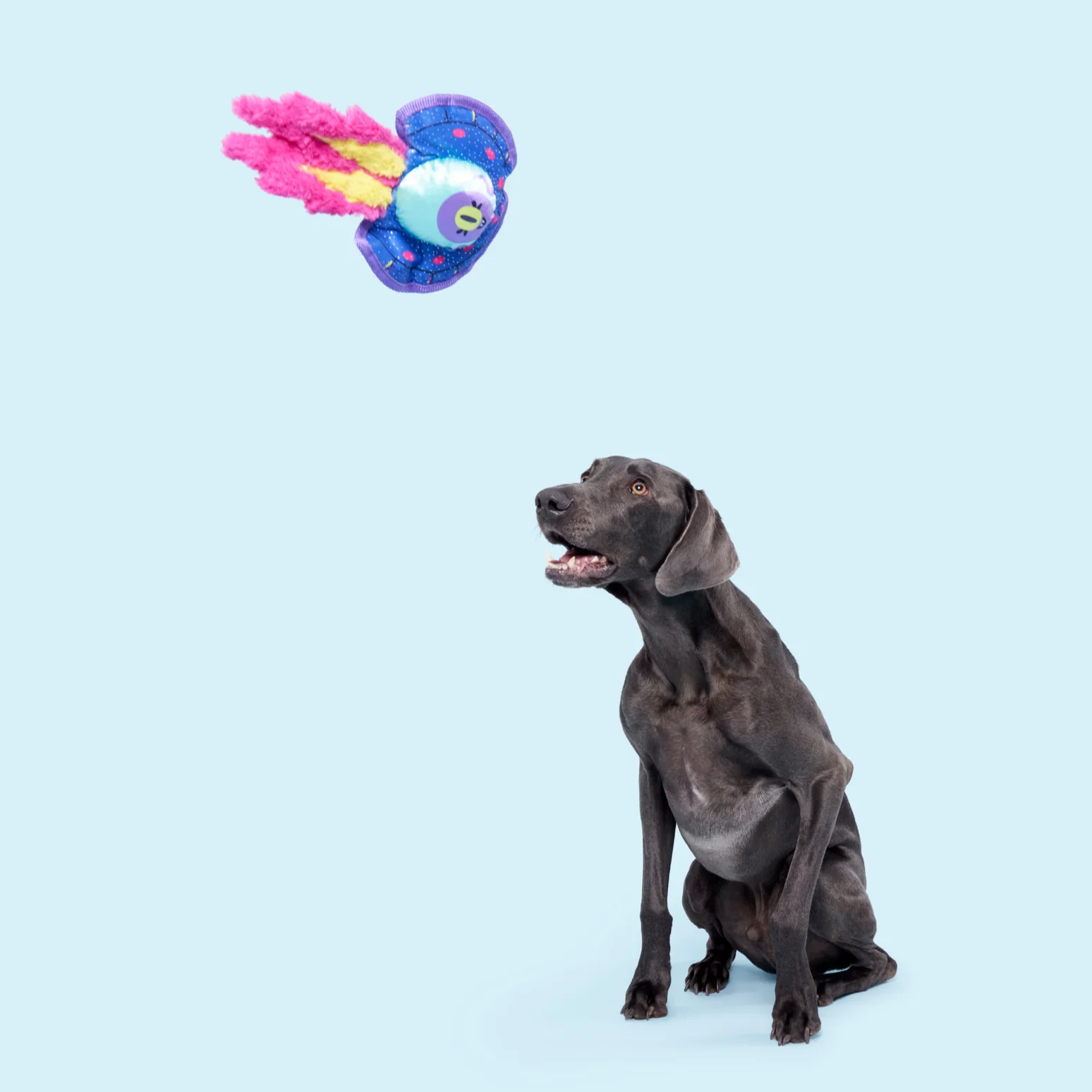 BLAST ARF! Plush Tug Dog Toy - Image 6