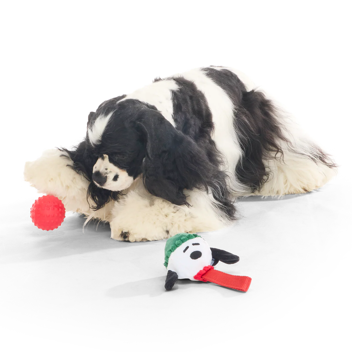 Blizzard Beagle Durable Super Chewer Tug Dog Toy - Image 4