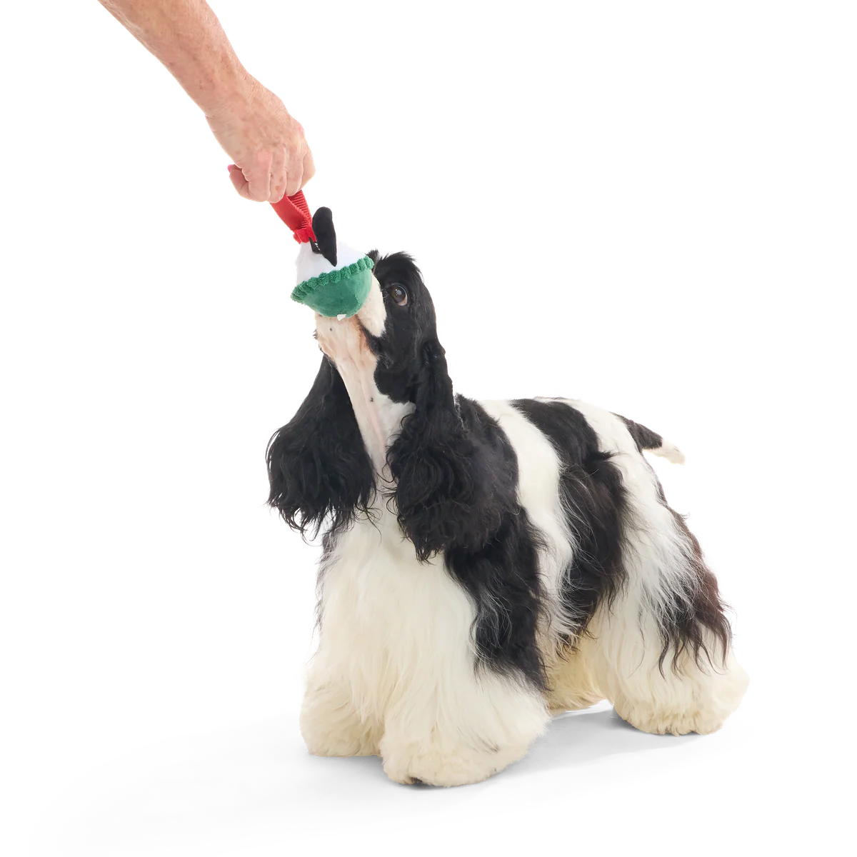 Blizzard Beagle Durable Super Chewer Tug Dog Toy - Image 5
