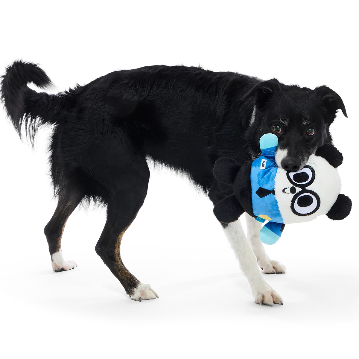 Boarding Panda Plush 2-in-1 Dog Toy - Image 2