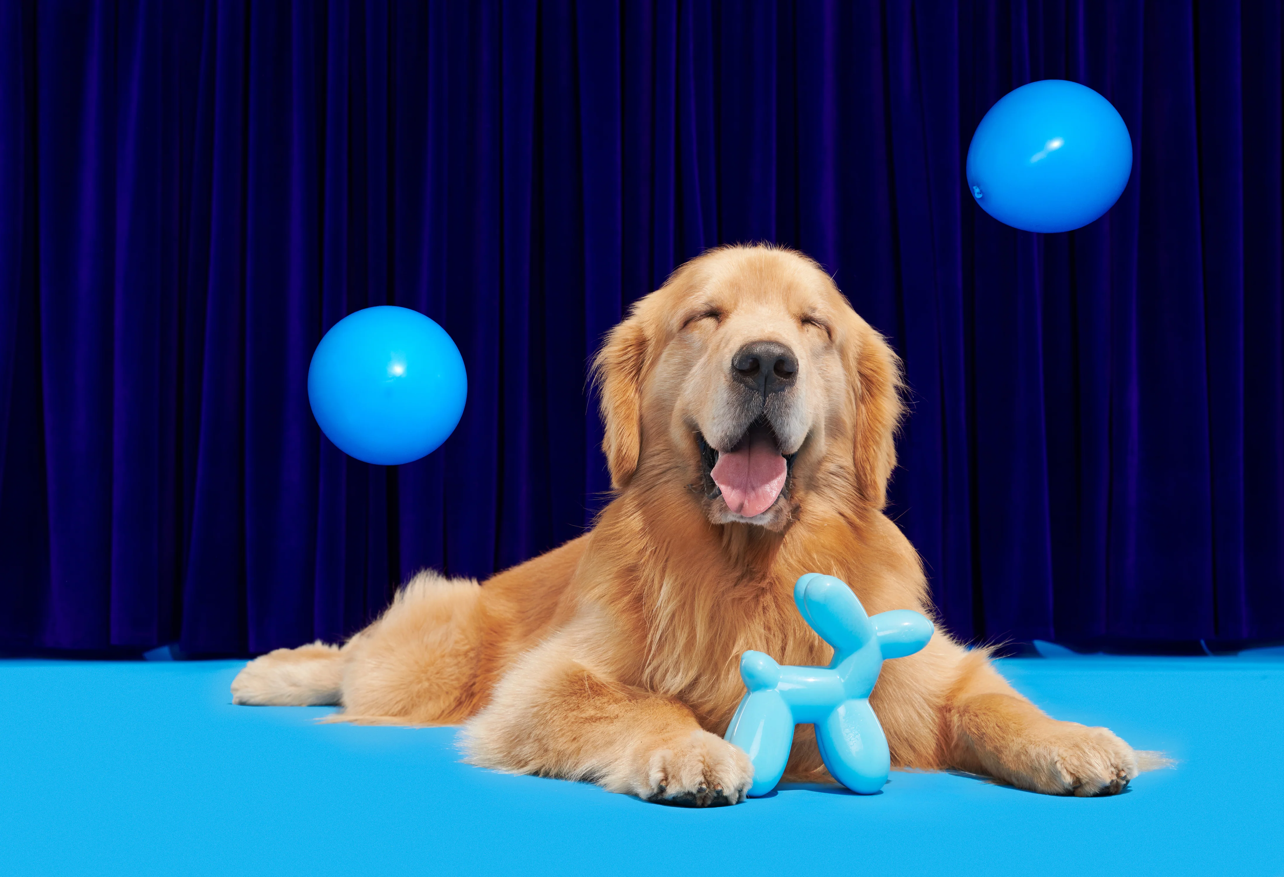 Bob the Balloon Durable Super Chewer Dog Toy - Image 3