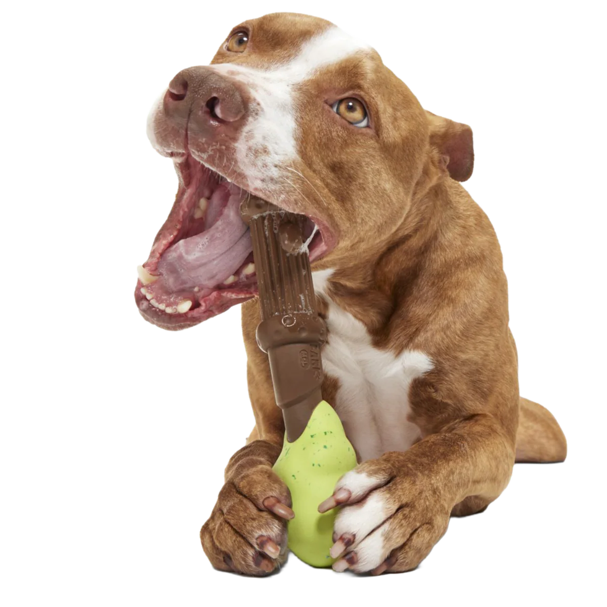 Harry's Bogey™ Wand Super Chewer Durable Gnaw Dog Toy - Image 2