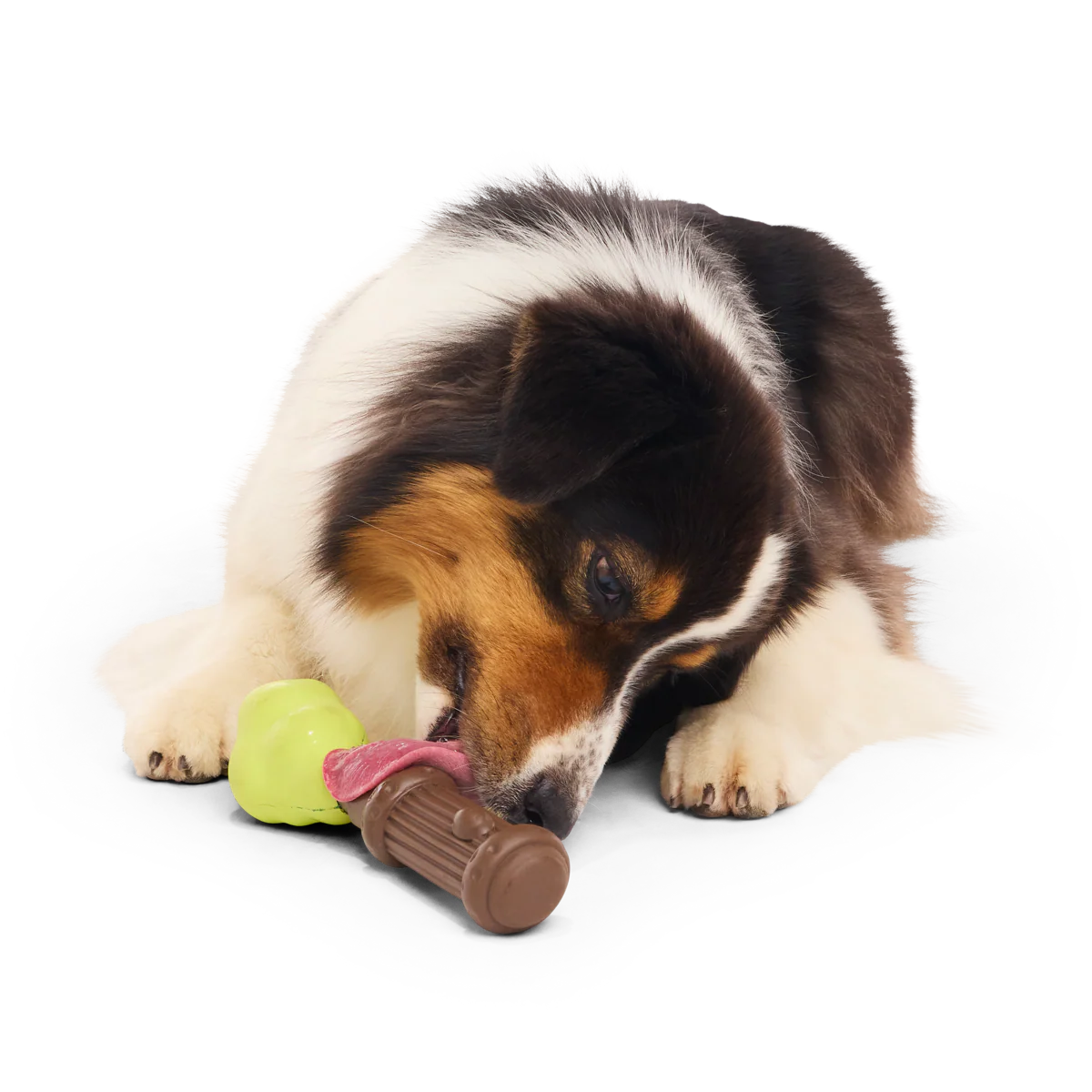 Harry's Bogey™ Wand Super Chewer Durable Gnaw Dog Toy - Image 3