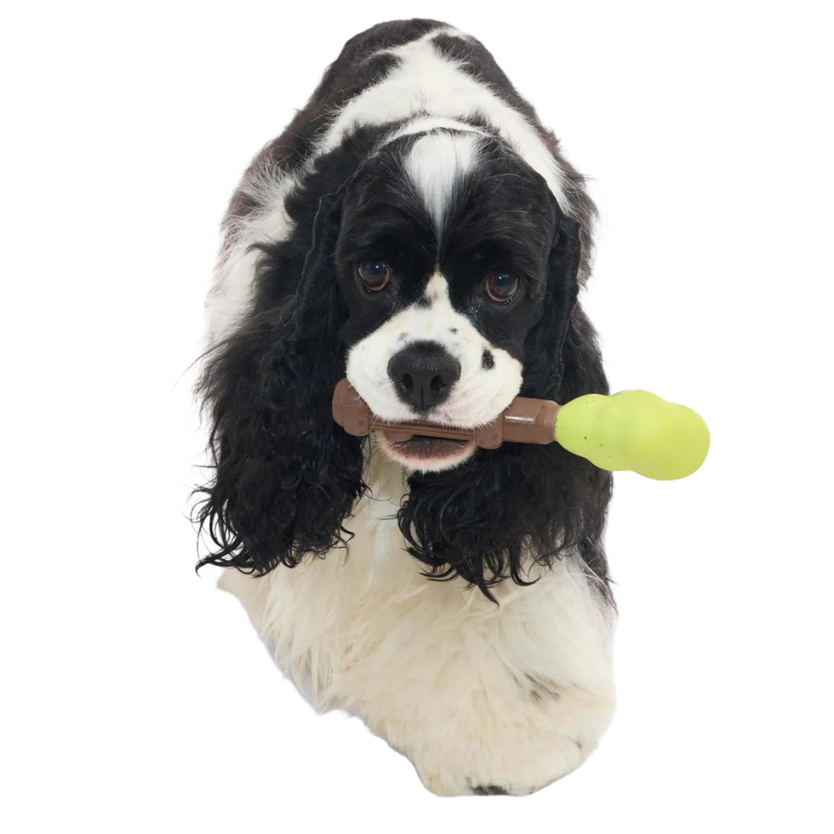 Harry's Bogey™ Wand Super Chewer Durable Gnaw Dog Toy - Image 4
