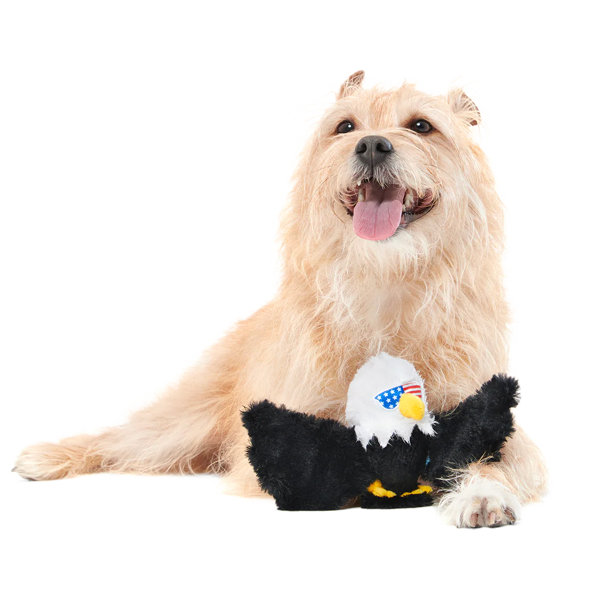 Bold Eagle Plush Tug Dog Toy - Image 3