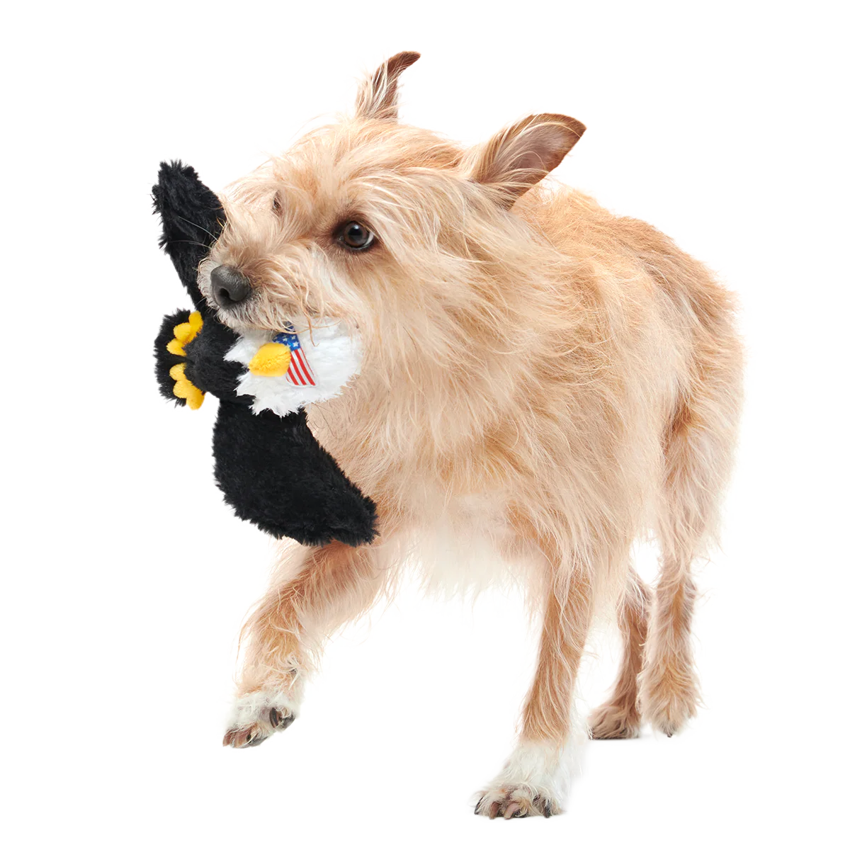 Bold Eagle Plush Tug Dog Toy - Image 4