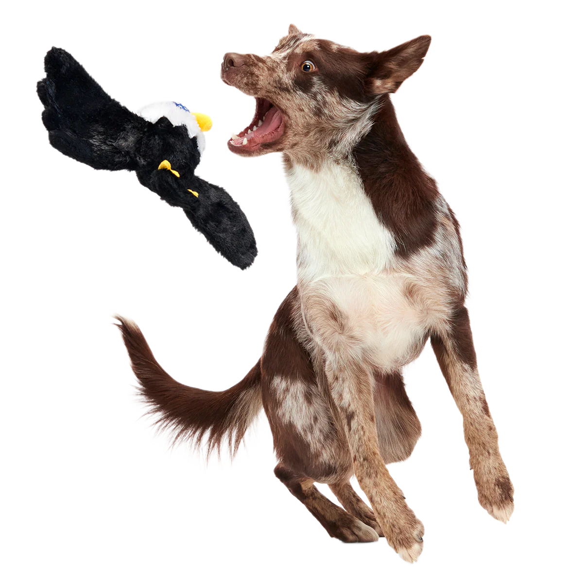Bold Eagle Plush Tug Dog Toy - Image 5