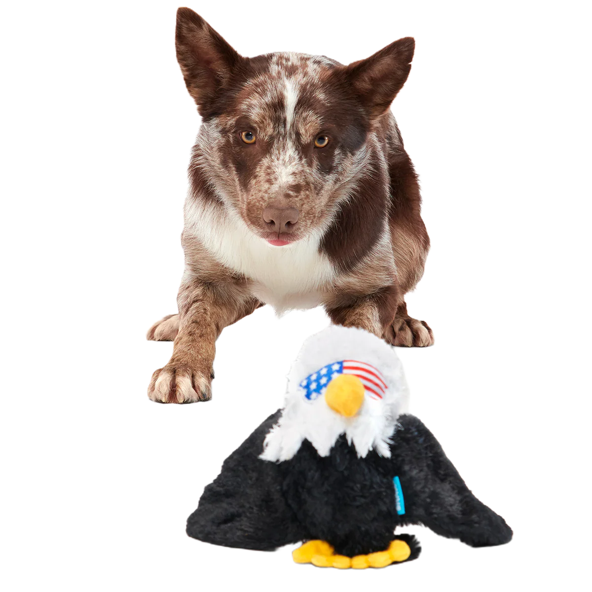 Bold Eagle Plush Tug Dog Toy - Image 7