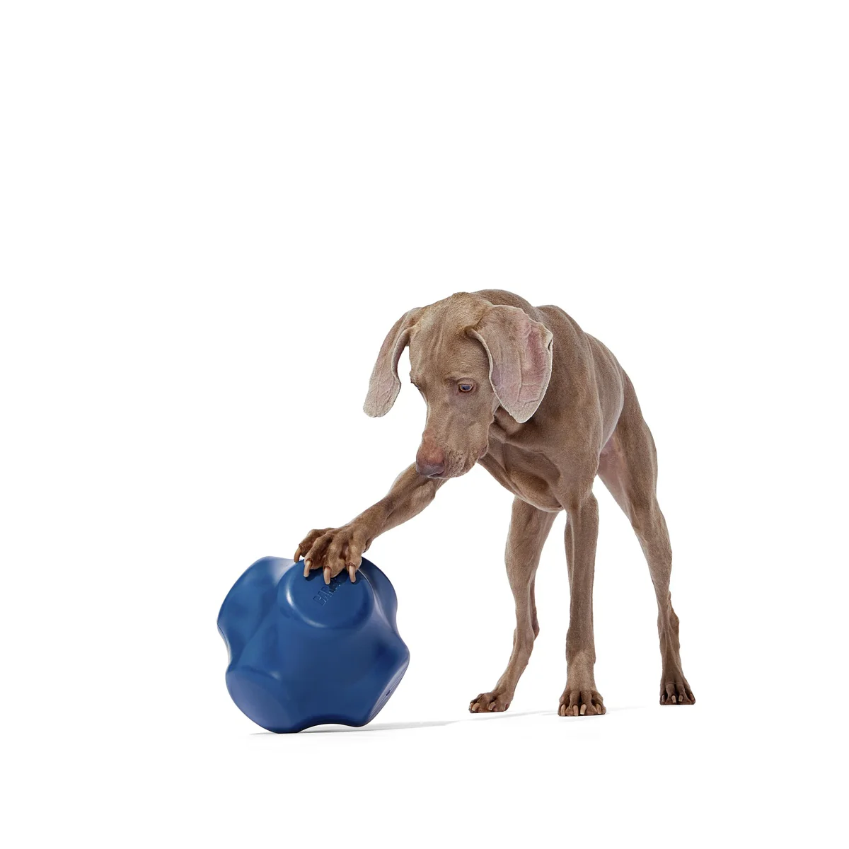 Bolder Super Chewer Durable Extra-Large Enrichment Dog Toy - Image 2