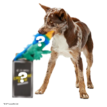 Bone-a-fide Boga - Image 2