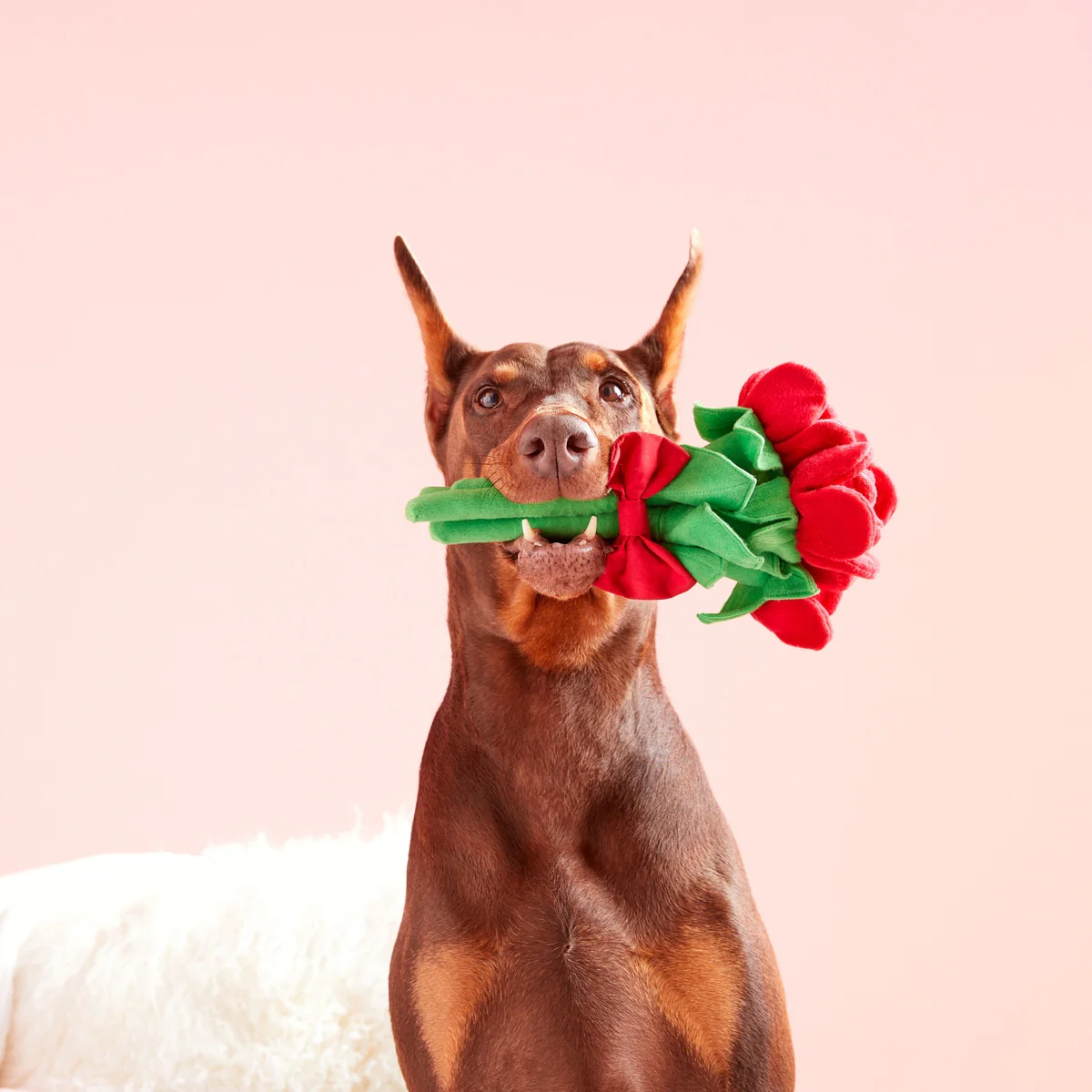Bouquet of Roses Plush Multi-Part Dog Toy - Image 3