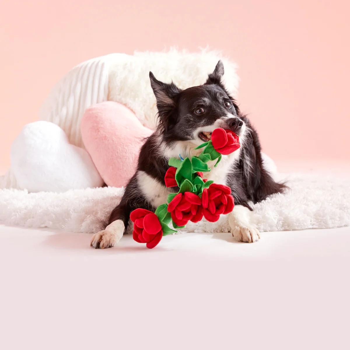 Bouquet of Roses Plush Multi-Part Dog Toy - Image 4