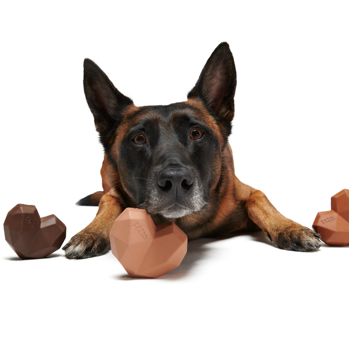 Box of Chocolicks Super Chewer Durable Multi-Part + Gnaw Dog Toy - Image 2