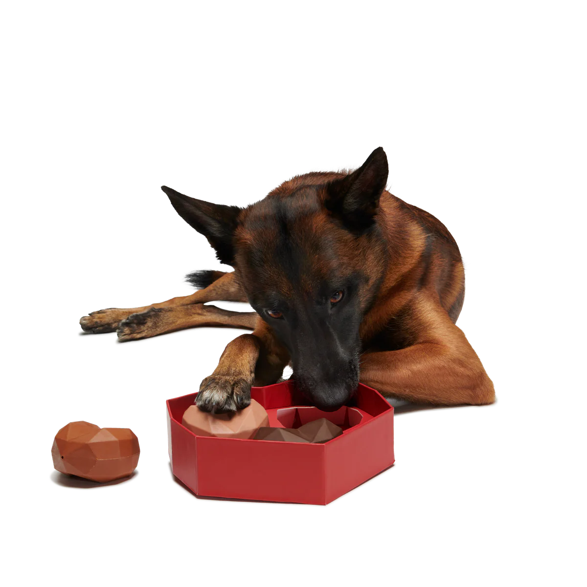 Box of Chocolicks Super Chewer Durable Multi-Part + Gnaw Dog Toy - Image 3