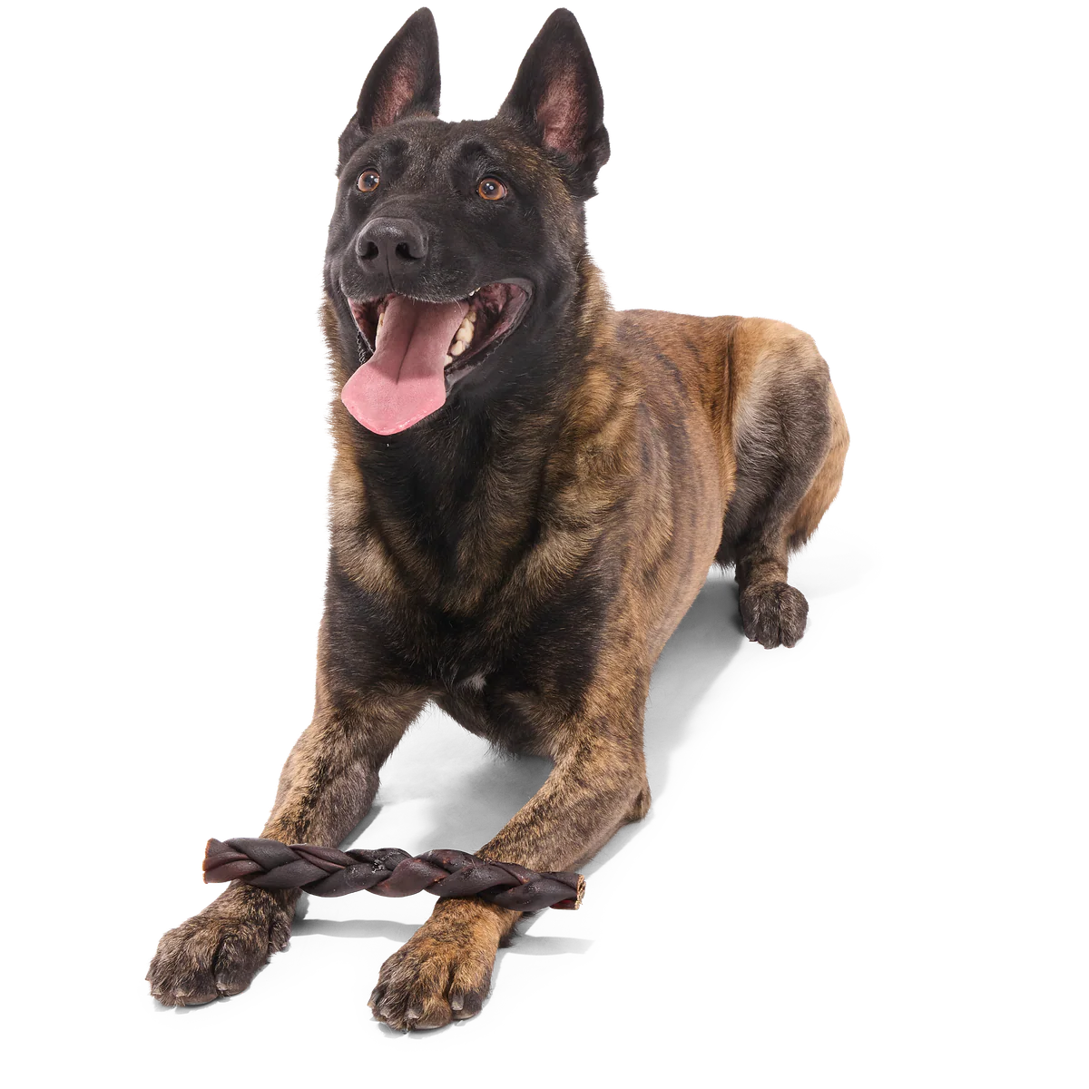 Beef Braided Collagen Dog Chew, Single, 9" - Image 2