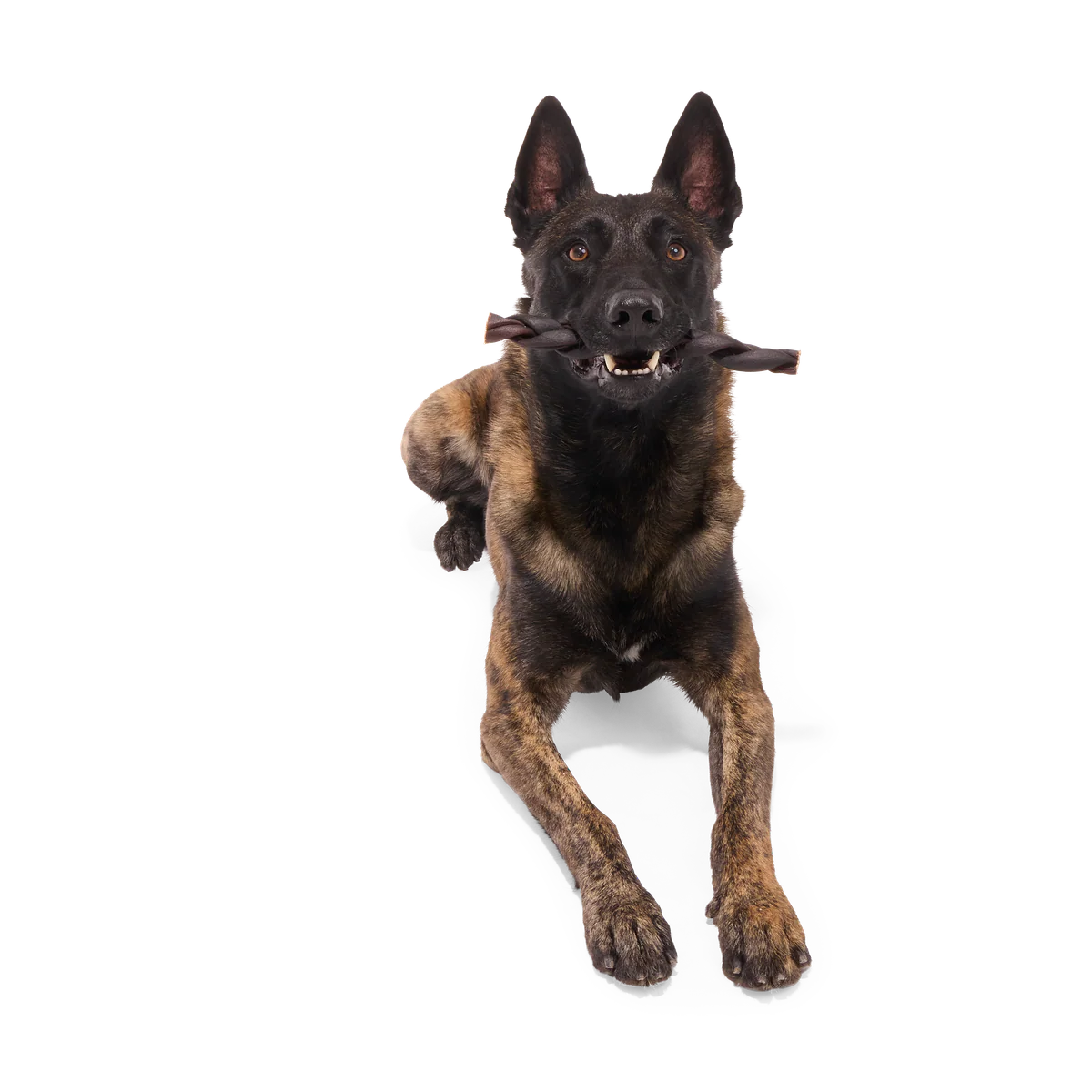 Beef Braided Collagen Dog Chew, Single, 9" - Image 3