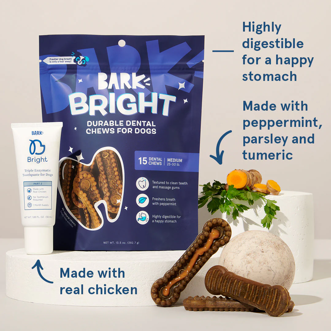 Bright Durable Dental Kit, 15 Ct Chews + Toothpaste - Image 3