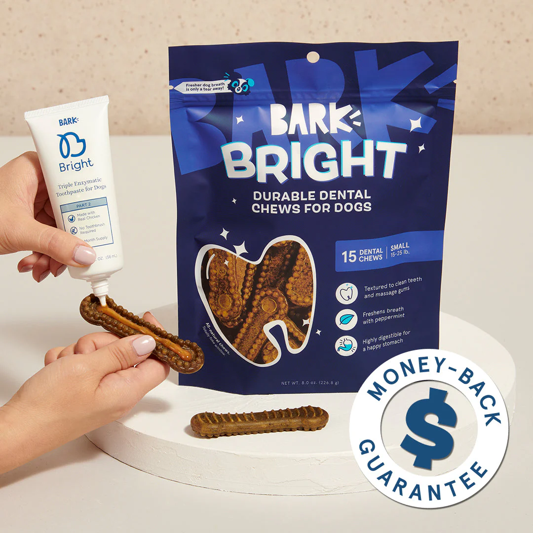 Bright Durable Dental Kit, 15 Ct Chews + Toothpaste - Image 4