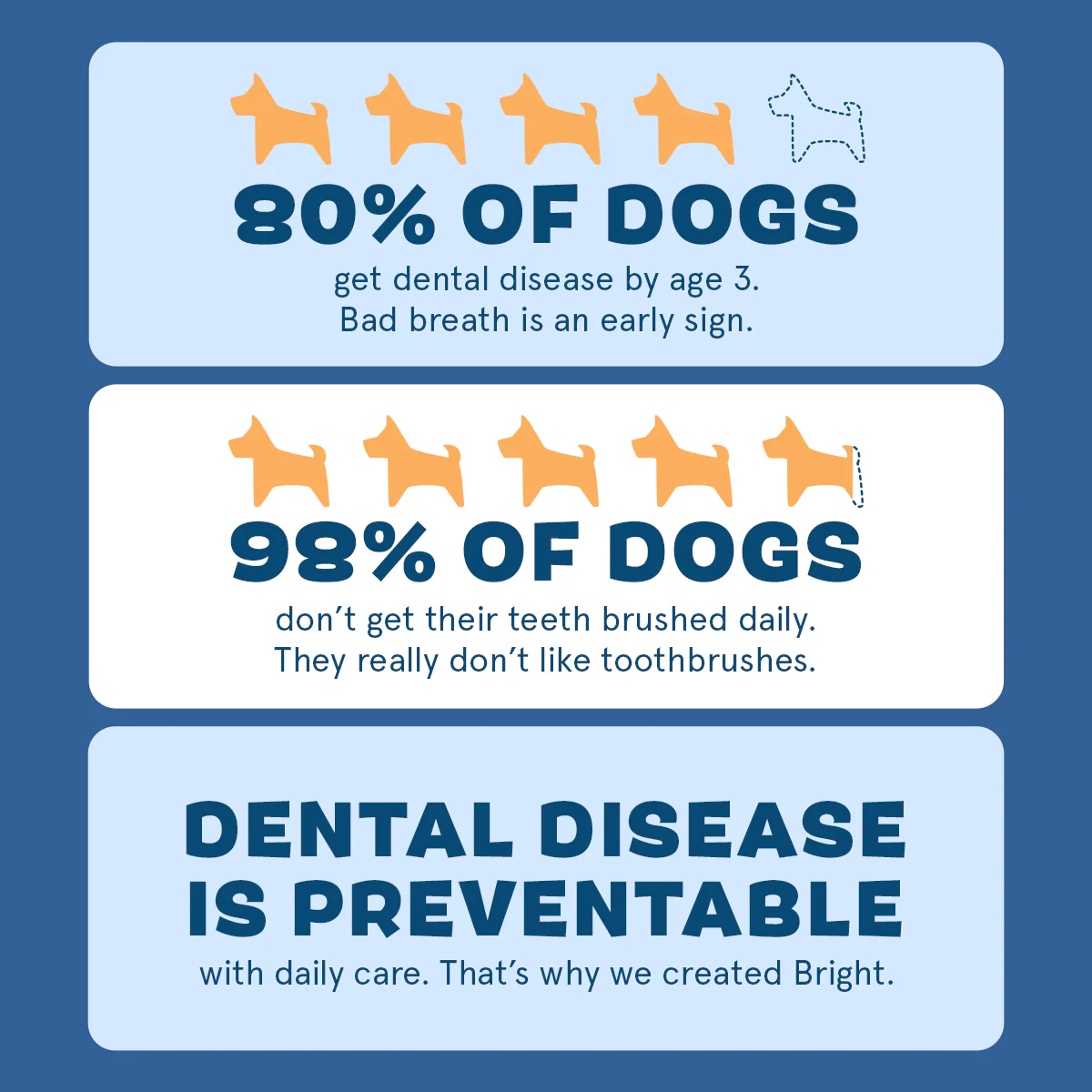 Bright Durable Dental Kit, 15 Ct Chews + Toothpaste - Image 7