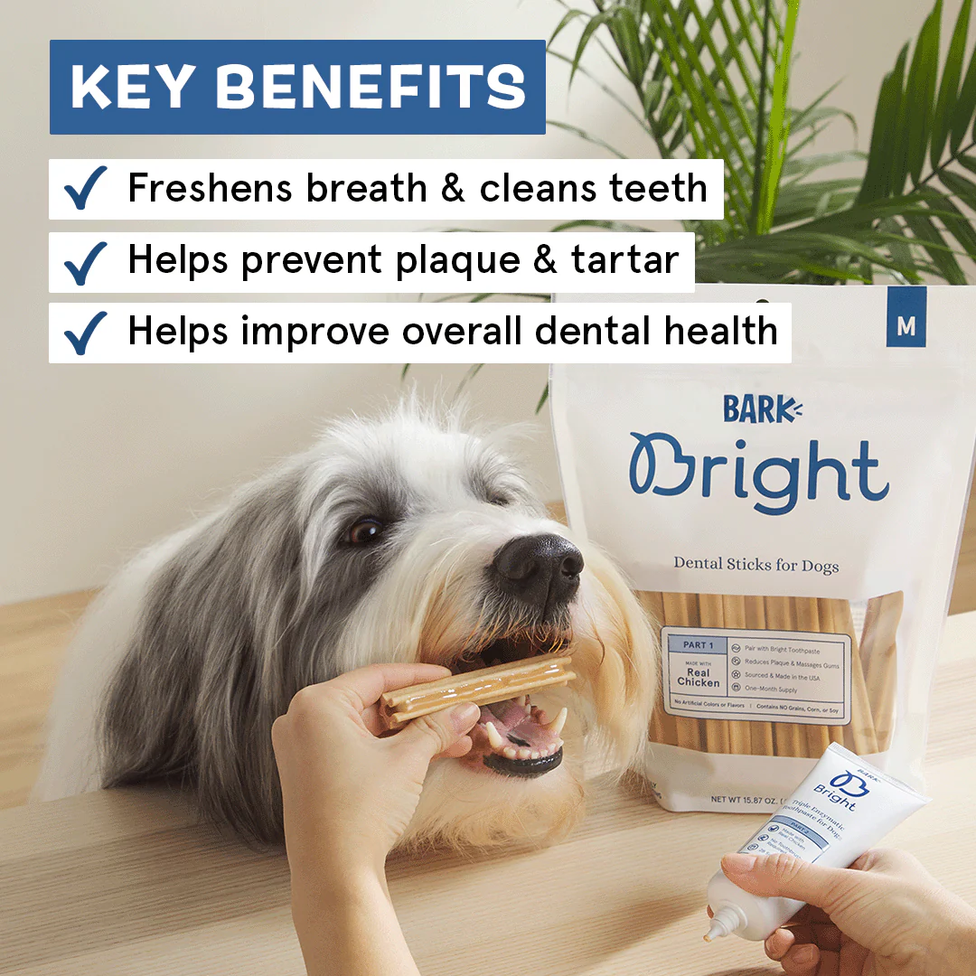 Bright Original Dental Kit, 30 Ct Chews + Toothpaste - Image 5