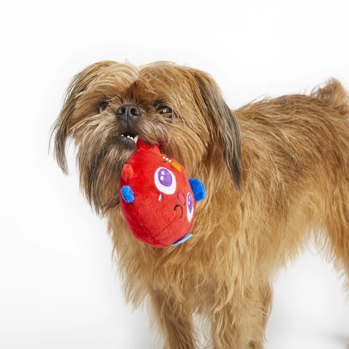 Broken Heart Ted Plush Dog Toy - Image 2