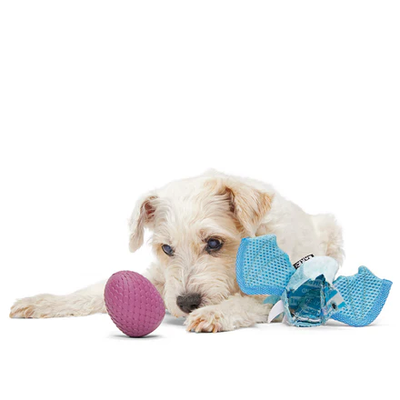 Brrrtha The Dragon Super Chewer Durable 2-in-1 Tug + Fetch Dog Toy - Image 4
