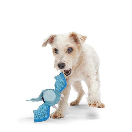 Brrrtha The Dragon Super Chewer Durable 2-in-1 Tug + Fetch Dog Toy - Image 5