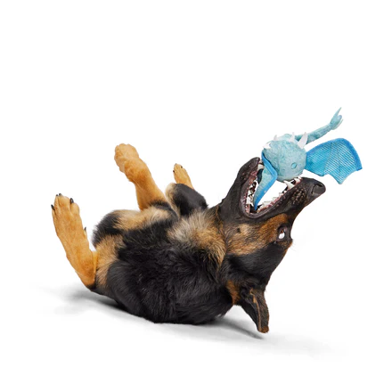 Brrrtha The Dragon Super Chewer Durable 2-in-1 Tug + Fetch Dog Toy - Image 6