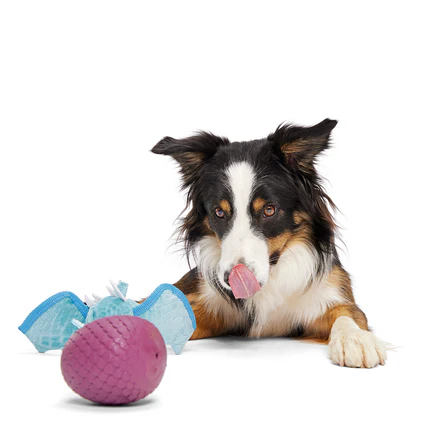 Brrrtha The Dragon Super Chewer Durable 2-in-1 Tug + Fetch Dog Toy - Image 7