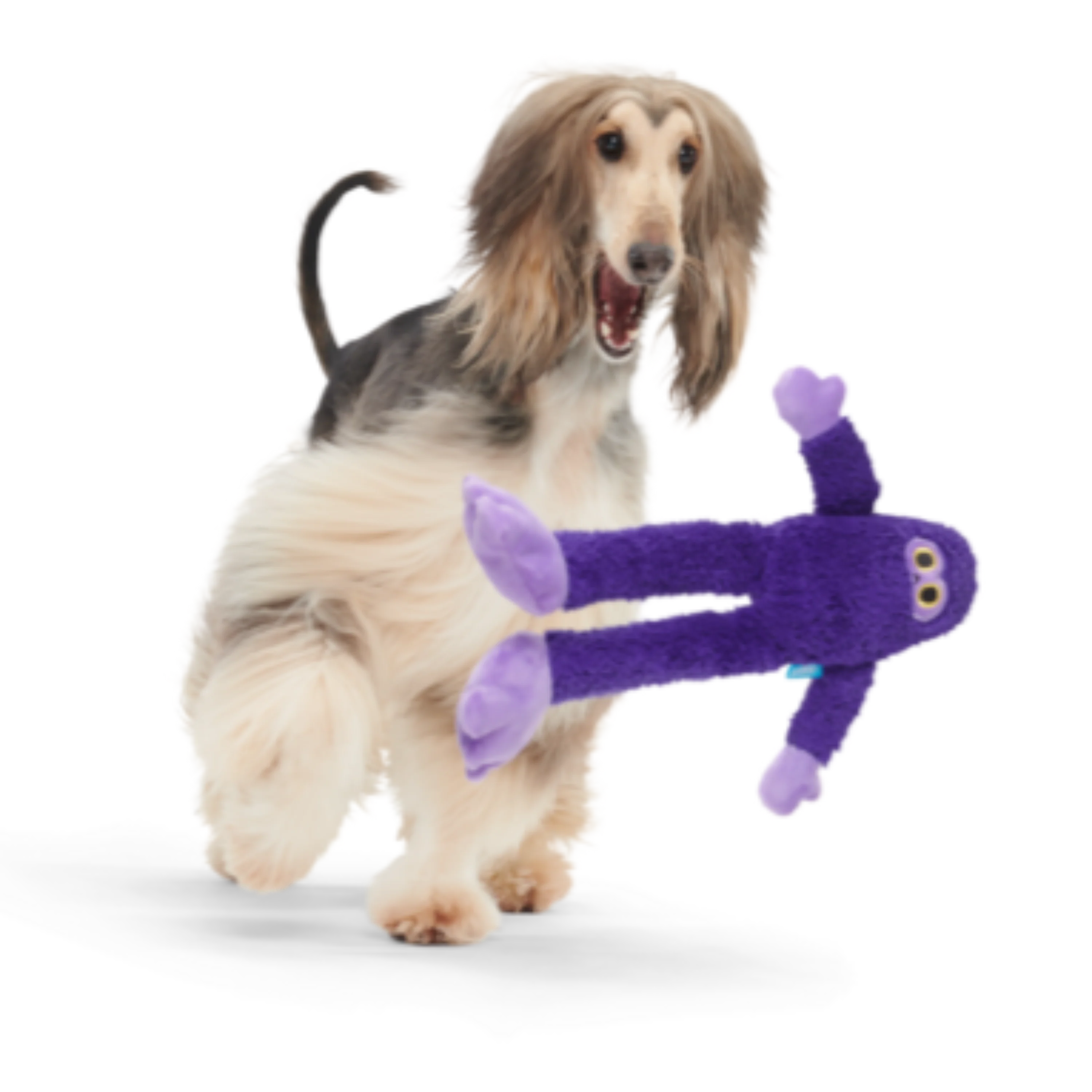 Buddy Bigfoot Plush Tug Dog Toy - Image 5