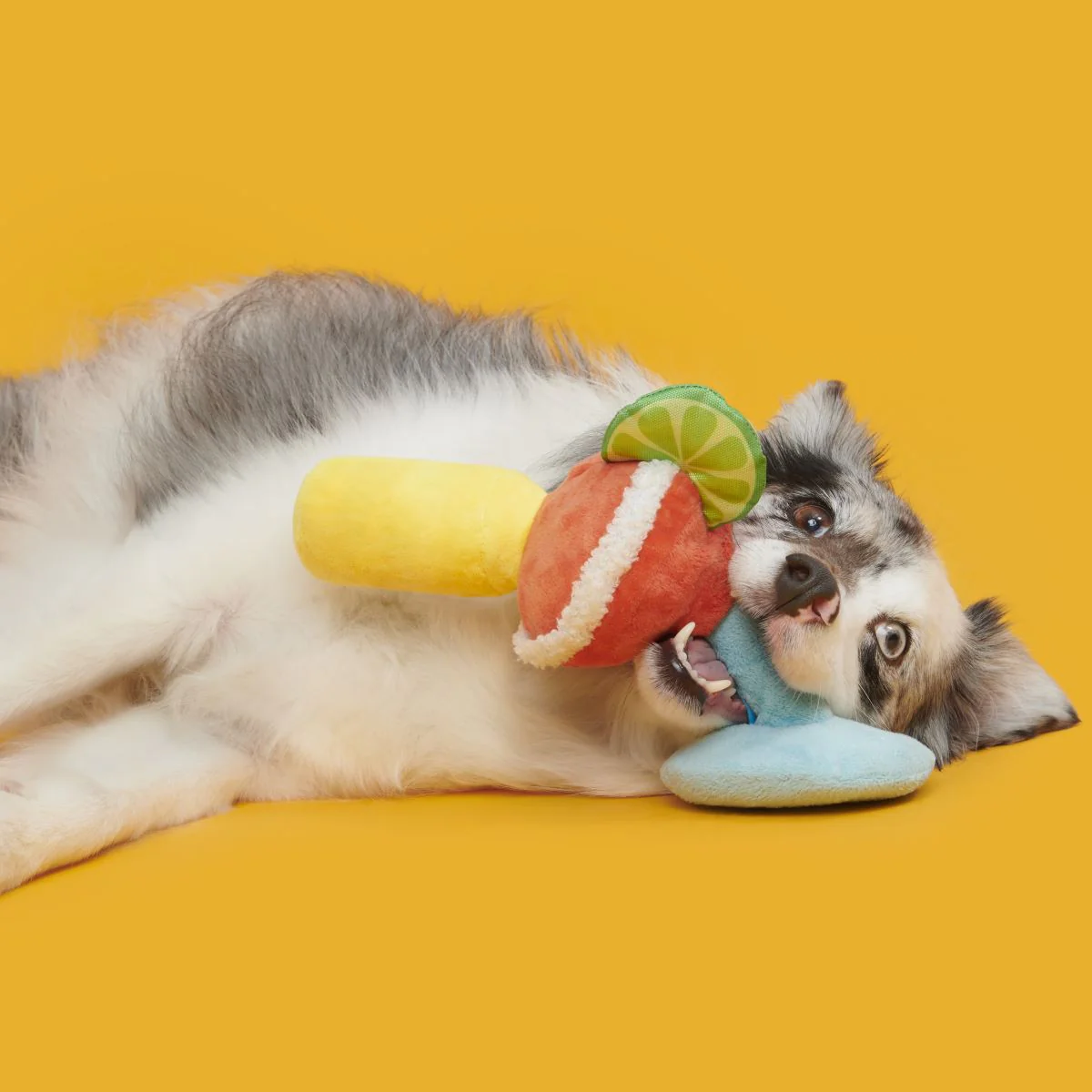 Bulldog Barkarita Plush Tug Dog Toy - Image 3