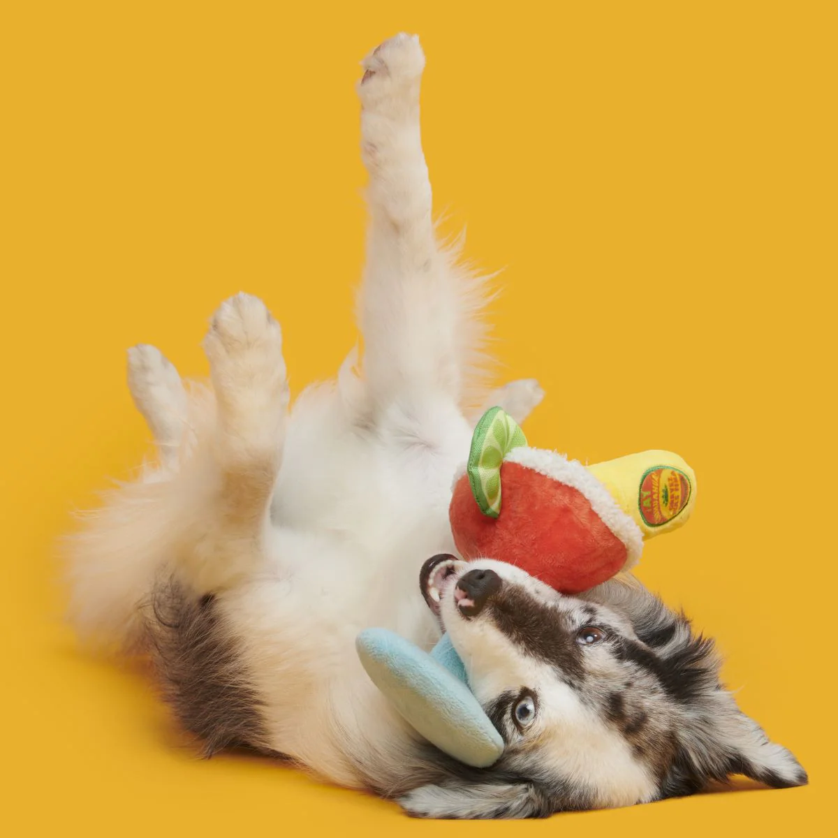 Bulldog Barkarita Plush Tug Dog Toy - Image 4
