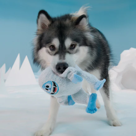 Bumble™ Plush Tug Dog Toy - Image 2