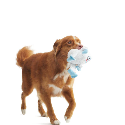 Bumble™ Plush Tug Dog Toy - Image 3