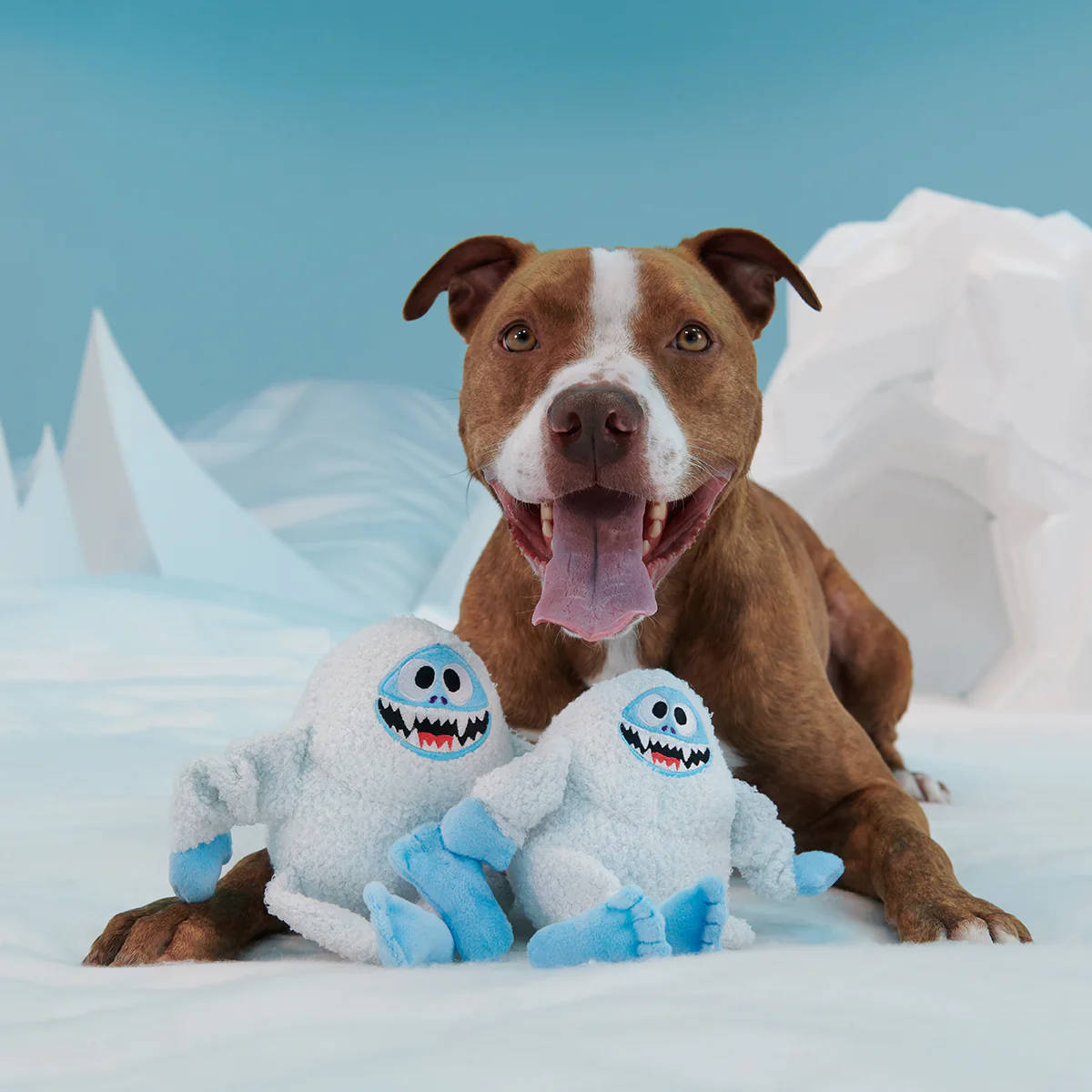Bumble™ Plush Tug Dog Toy - Image 5