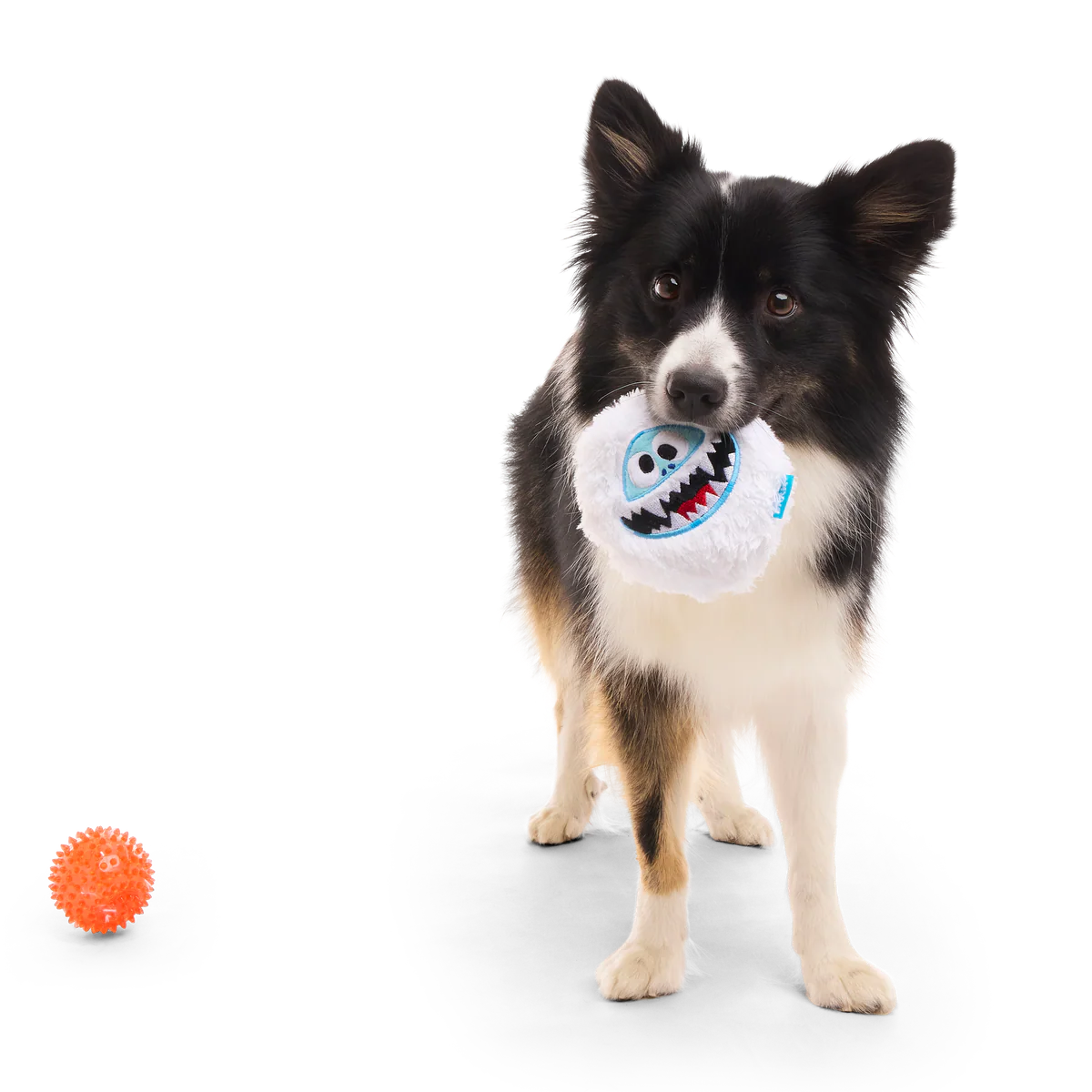 Bumble™ Bounce Plush 2-in-1 Rip and Reveal Dog Toy - Image 2