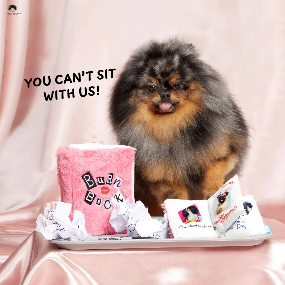 Burn Book Plush Tug + Enrichment Dog Toy - Image 6