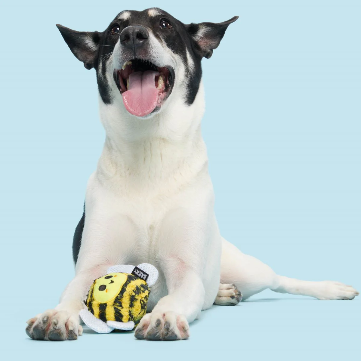 Buzzy Body Super Chewer Durable 2-in-1 Dog Toy - Image 3