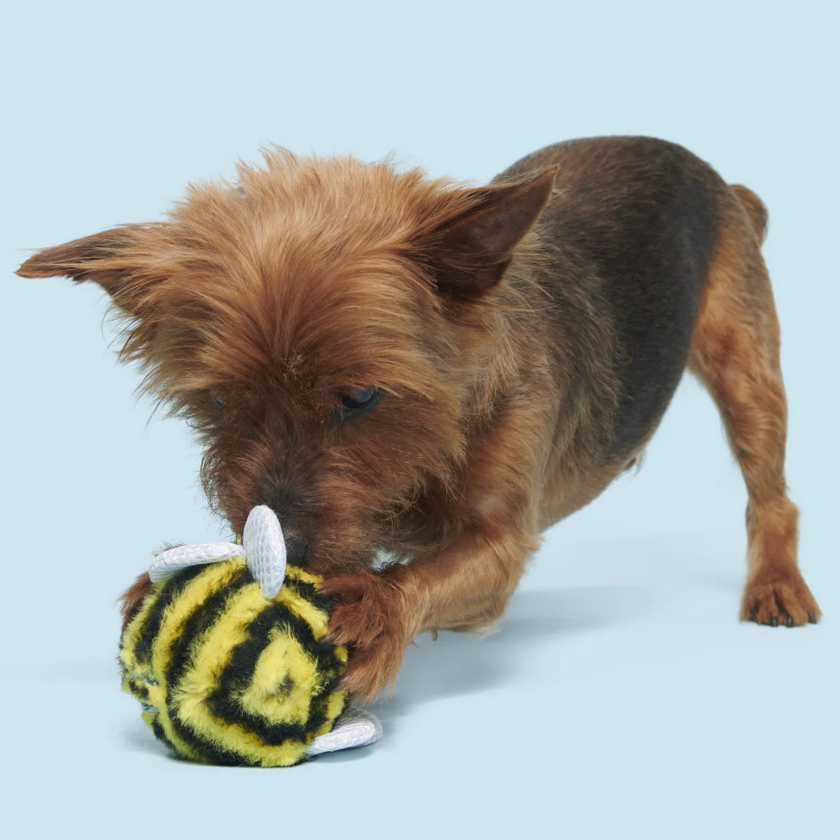 Buzzy Body Super Chewer Durable 2-in-1 Dog Toy - Image 4